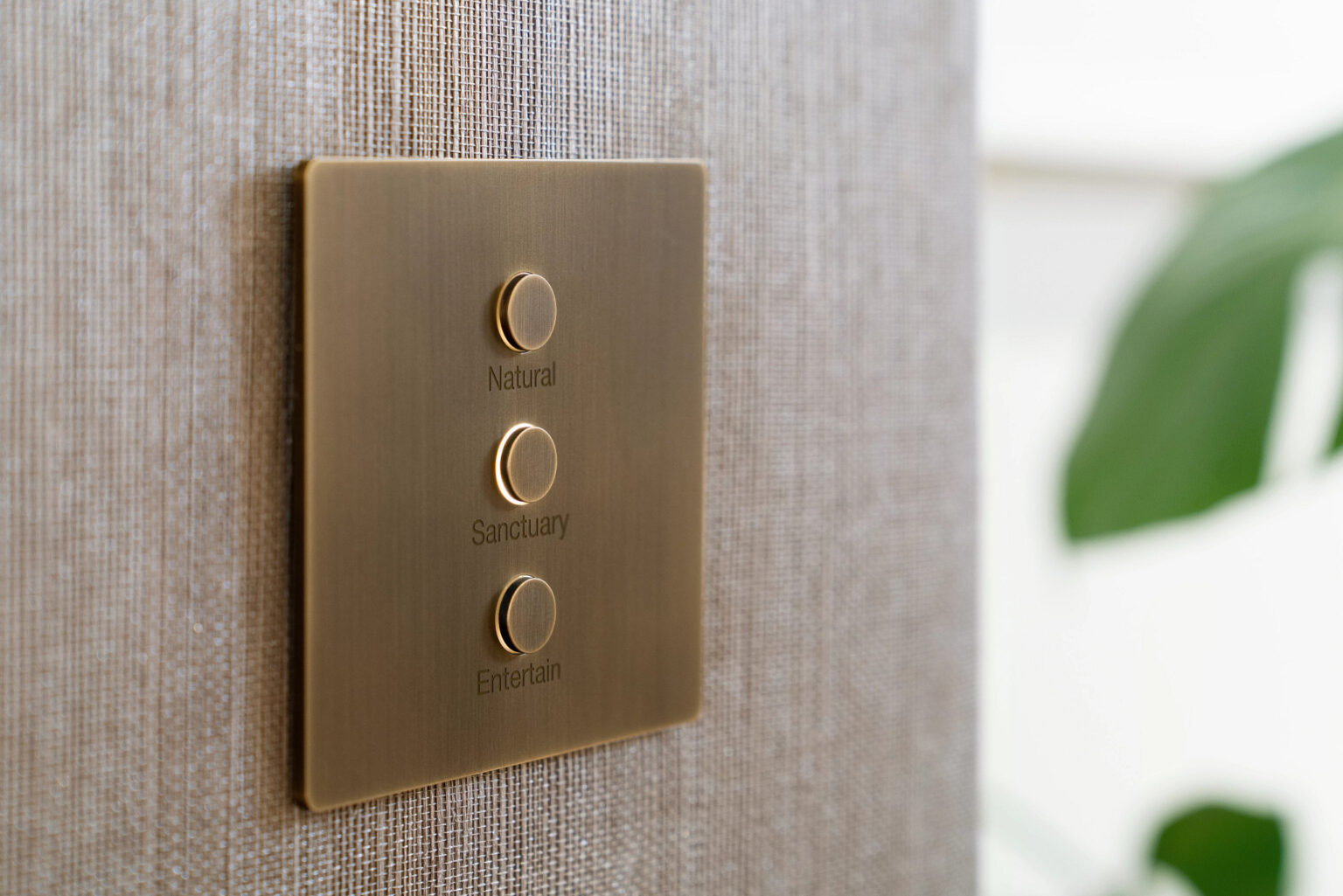 Lutron Alisse control South Africa: Lutron Alisse control SA